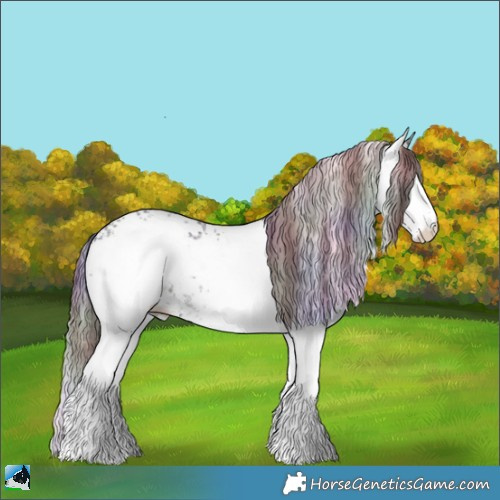 Horse Color:Nacre White Spotted Chocolate Brown Chinchilla Ice Sabino 