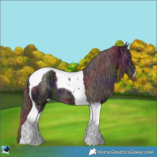 Horse Color:Nacre Chocolate Black Chinchilla Ice Tobiano 