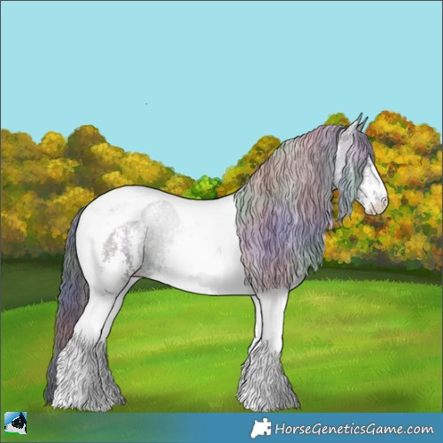 Horse Color:Nacre Black Chinchilla Ice Sabino Tobiano 