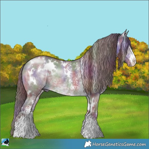 Horse Color:Nacre White Spotted Chocolate Brown Chinchilla Sabino 