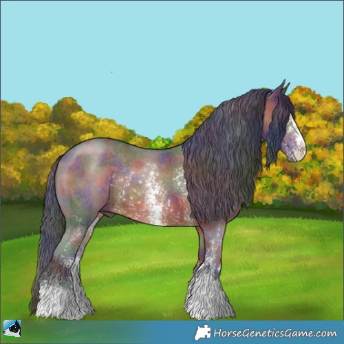 Horse Color:Nacre Brown Sabino Rabicano 
