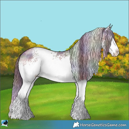 Horse Color:Nacre White Spotted Chocolate Brown Sabino 