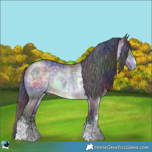 Horse Color:Nacre Brown Chinchilla Sabino 