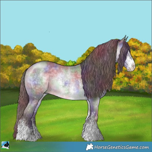 Horse Color:Nacre Chocolate Brown Chinchilla Sabino Rabicano 