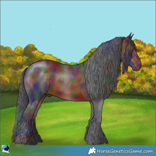 Horse Color:Nacre Brown Rabicano 