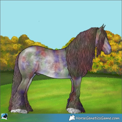 Horse Color:Nacre Chocolate Brown Chinchilla Rabicano 