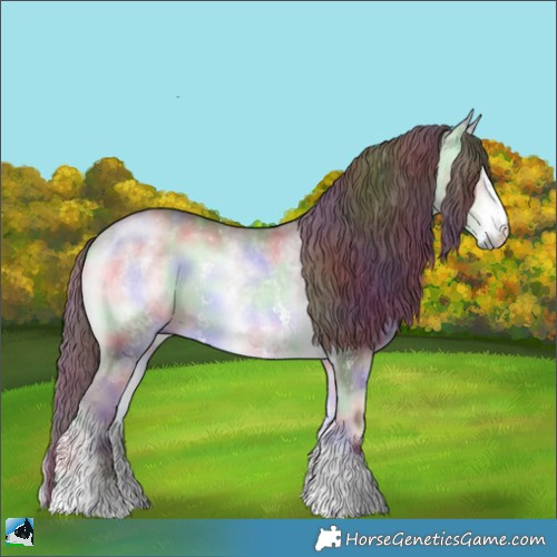 Horse Color:Nacre Chocolate Buckskin Chinchilla Onyx Sabino Rabicano 