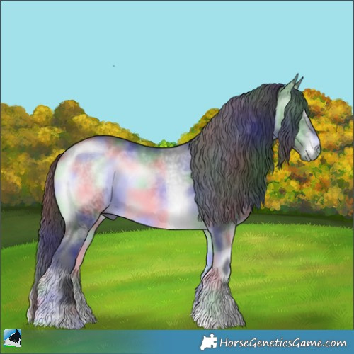 Horse Color:Nacre Brown Chinchilla Onyx Sabino Rabicano 