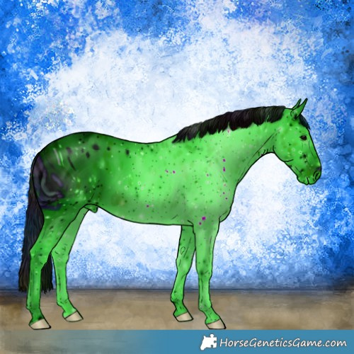 Horse Color:ERROR: UNKNOWN ANOMALY