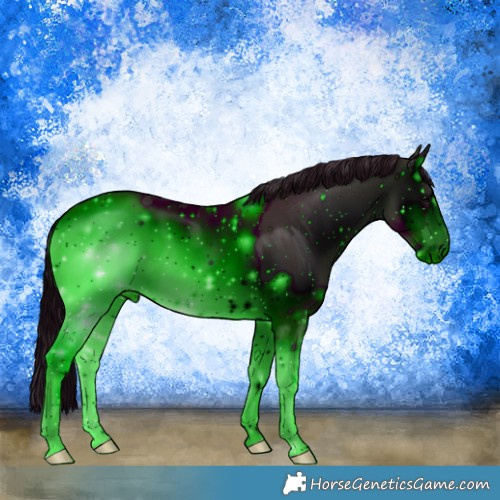 Horse Color:ERROR: UNKNOWN ANOMALY