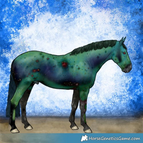 Horse Color:ERROR: UNKNOWN ANOMALY