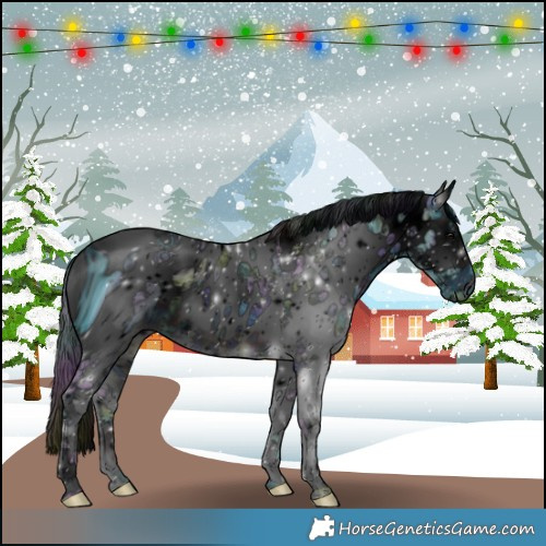 Horse Color:ERROR: UNKNOWN ANOMALY