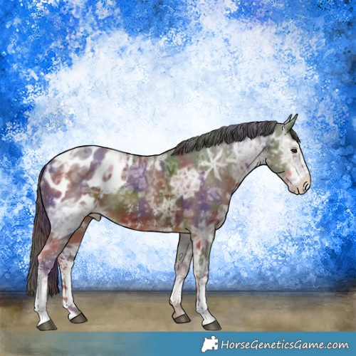 Horse Color:Nacre Liver Chestnut Ice Sabino Appaloosa Rabicano 
