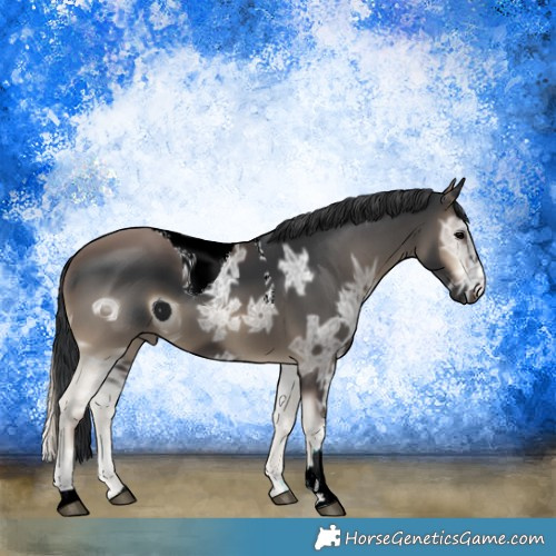 Horse Color:ERROR: UNKNOWN ANOMALY