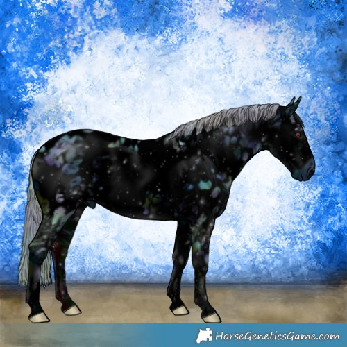 Horse Color:ERROR: UNKNOWN ANOMALY