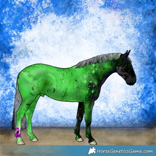 Horse Color:ERROR: UNKNOWN ANOMALY