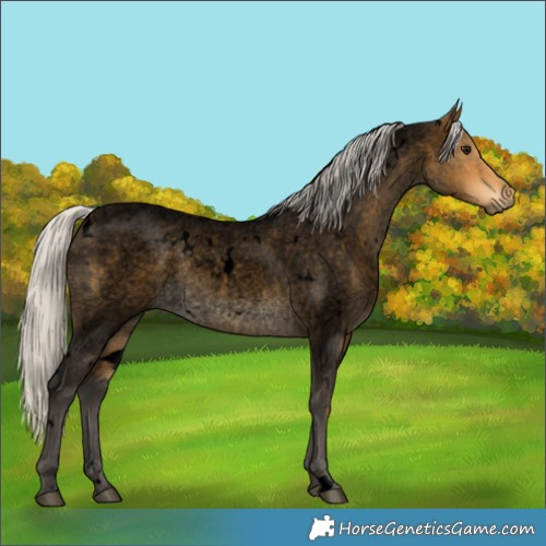 Horse Color:Void White Spotted Silver Buckskin Roan 