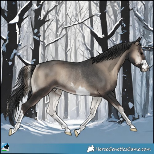 Horse Color:Blue Onyx Rabicano 