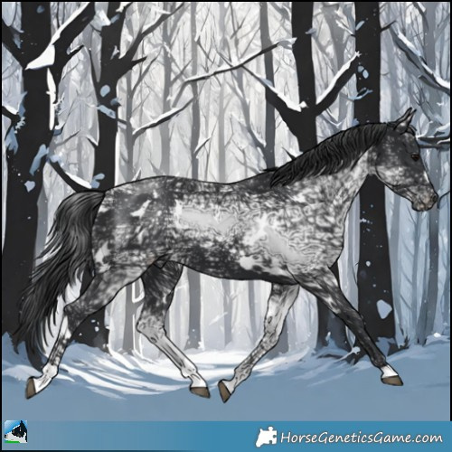 Horse Color:White Spotted Black Ice 