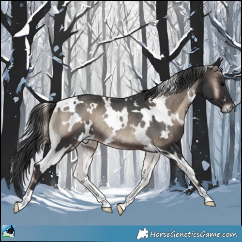 Horse Color:White Spotted Blue Onyx Rabicano 