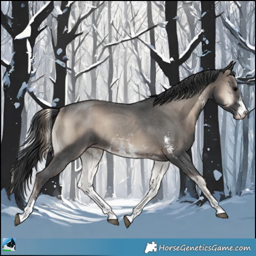Horse Color:Blue Onyx Sabino Rabicano 
