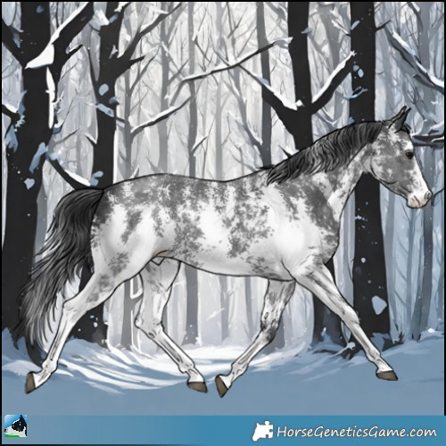 Horse Color:Black Sabino 