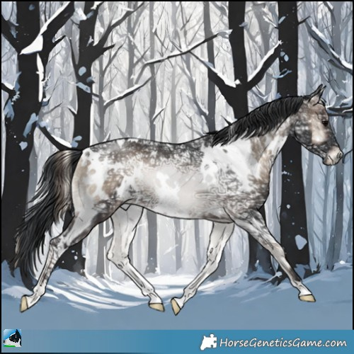 Horse Color:White Spotted Blue Onyx Ice Rabicano 