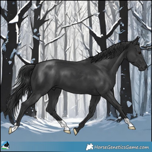 Horse Color:Black Mushroom 