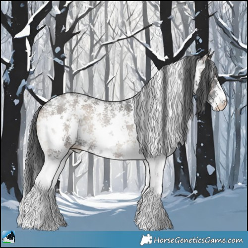 Horse Color:Blue Onyx Sabino Rabicano 