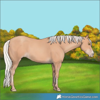 Horse Color:Silver Amber Champagne Frame 