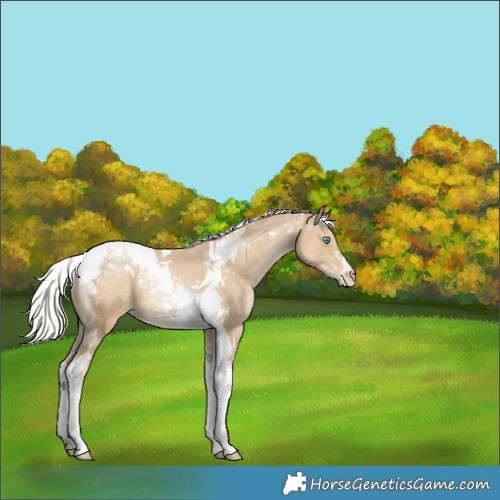 Horse Color:Silver Smoky Black Pearl Tobiano 
