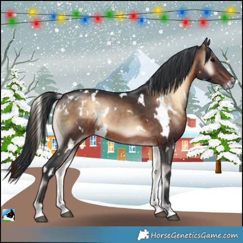 Horse Color:White Spotted Brown Onyx Rabicano 