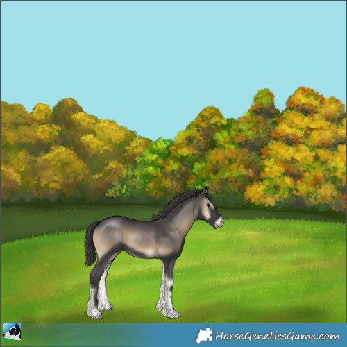 Horse Color:Smoky Blue Onyx Sabino Rabicano 