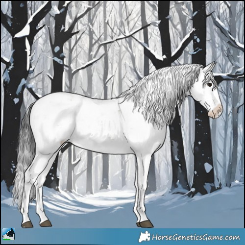 Horse Color:Brown Ice Dun Sabino Rabicano 