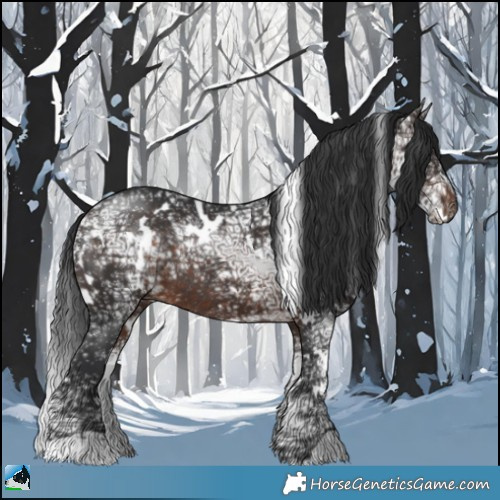 Horse Color:White Spotted Brown Ice Rabicano 