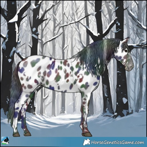 Horse Color:Nacre White Spotted Black Appaloosa Rabicano 