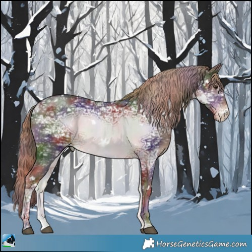 Horse Color:Nacre White Spotted Liver Chestnut Ice Sabino Rabicano 