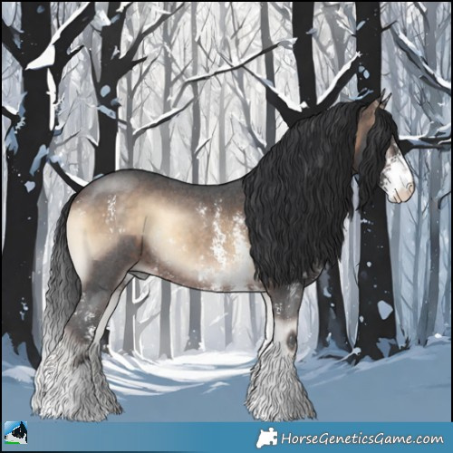 Horse Color:Brown Onyx Sabino Rabicano 