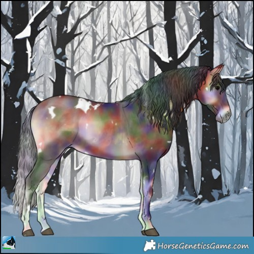 Horse Color:Nacre White Spotted Bay Onyx Rabicano 