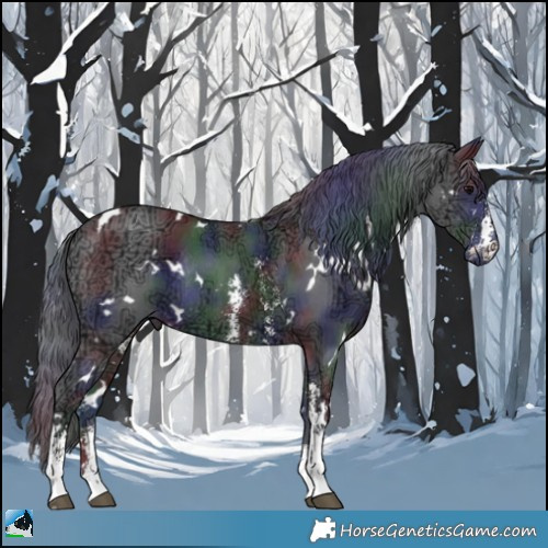 Horse Color:Nacre White Spotted Black Ice Sabino Rabicano 