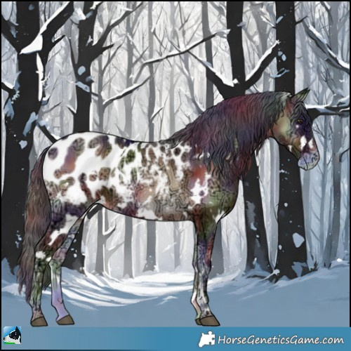 Horse Color:Nacre White Spotted Liver Red Onyx Ice Appaloosa Rabicano 