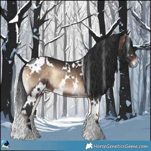 Horse Color:White Spotted Brown Onyx Rabicano 