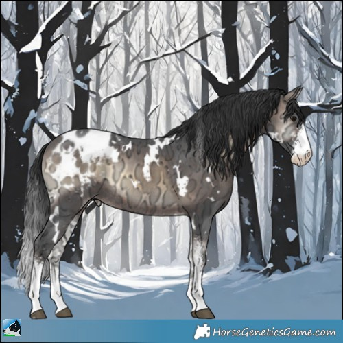 Horse Color:White Spotted Brown Ice Onyx Sabino Appaloosa Rabicano 