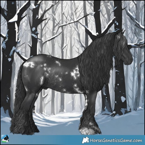 Horse Color:White Spotted Black Rabicano 