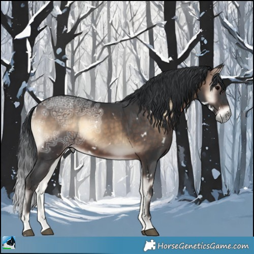 Horse Color:White Spotted Brown Ice Onyx Rabicano 
