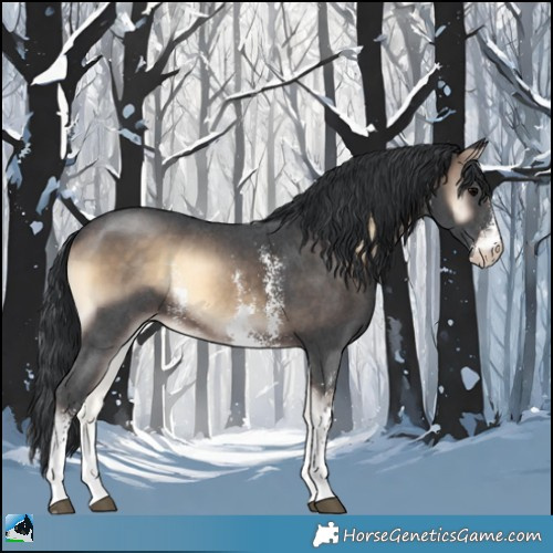 Horse Color:Brown Onyx Sabino Rabicano 