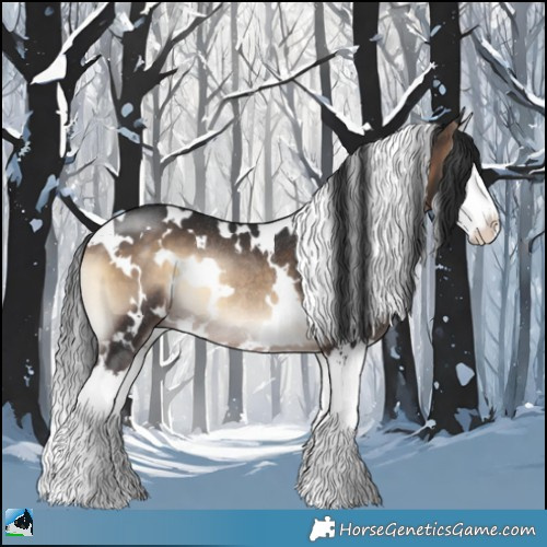 Horse Color:White Spotted Brown Onyx Sabino Splash Rabicano 