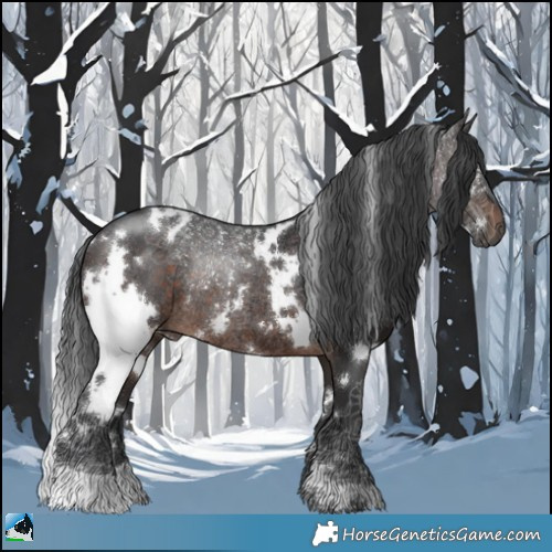 Horse Color:White Spotted Brown Rabicano 