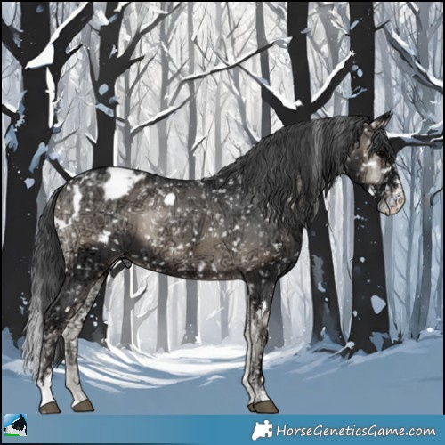Horse Color:White Spotted Blue Onyx Ice Sabino Appaloosa Rabicano 
