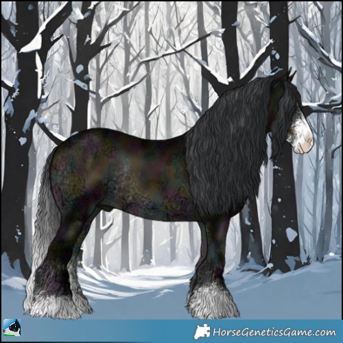 Horse Color:Midnight Brown Ice Onyx Sabino Rabicano 